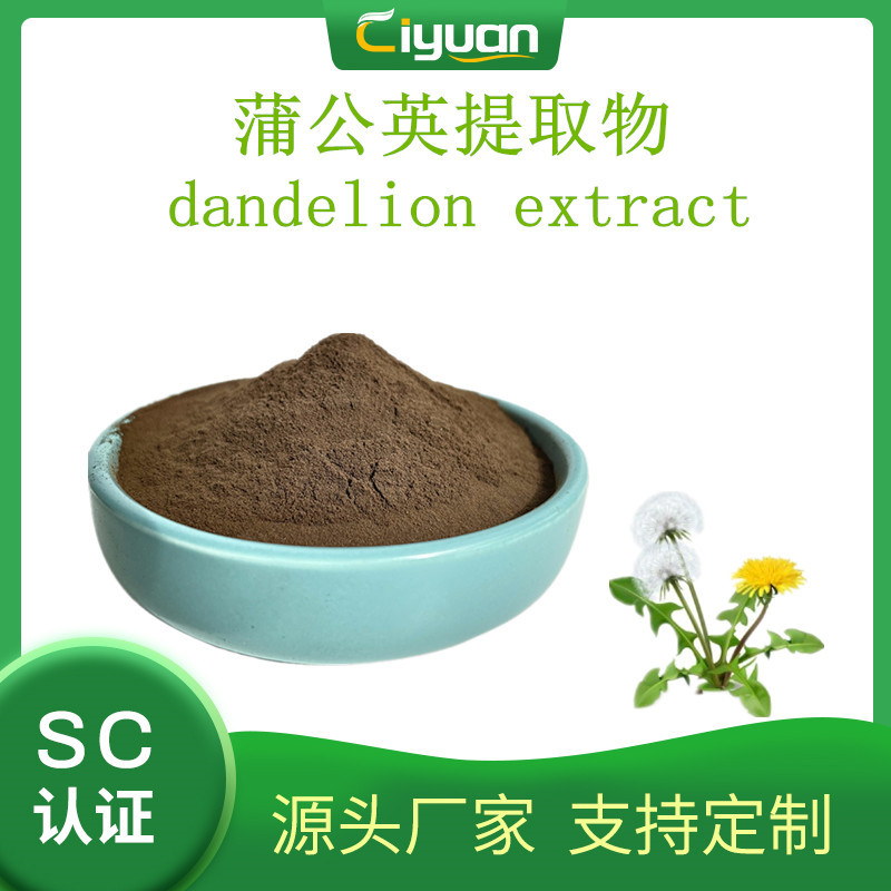 蒲公英提取物dandelion extract 婆婆丁提取物蒲公英浓缩粉 现货