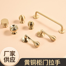 �����S�~���ּҾߙ�����������¿�W�t���s��ʽ���T�S�~����