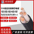 厂家直发国标纯无氧铜芯YJV/yjv22*12345芯10/16/25/35平方电缆线