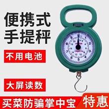 迷你称重手提秤10公斤便携式高精度家用快递称小秤弹簧秤学生教学