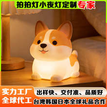 С�����ձ������轺���ĵƶ���Сҹ�Ƶν��轺���½���IP���涨��