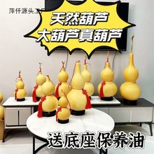 ��Ȼ���J����J�[�����_��ľ���J�͏d�k�������^����J���P��̖