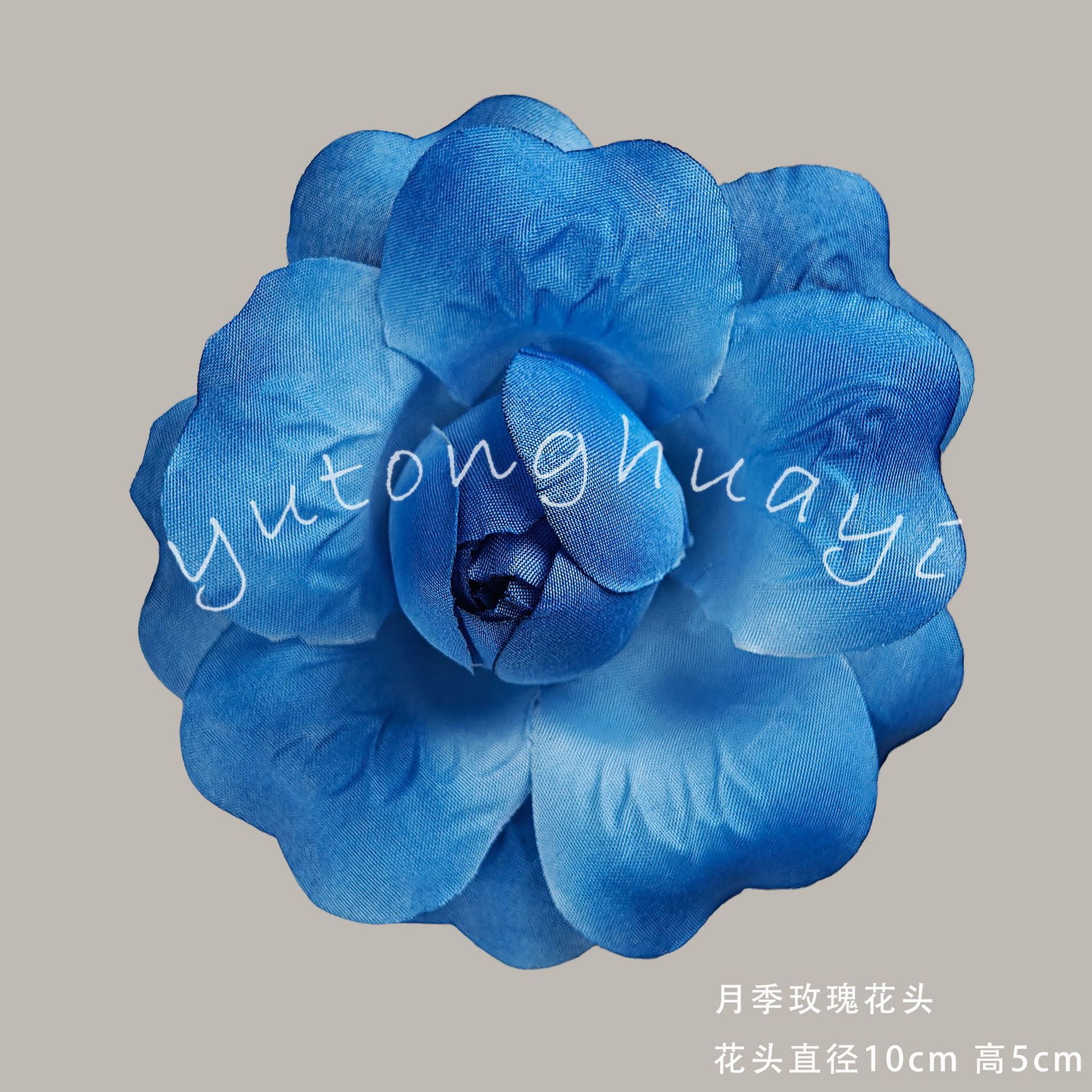 Rose flowers