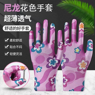 ��ɫ�������������ׄڱ���ĥᘿ�͸����Ů�����҄ոɻ��������l