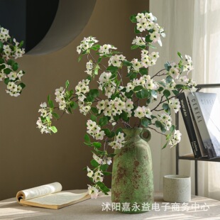 ���Z�q���沮���a֮�ǼҾ��bٻ�С����ϵ�������������Z�q����