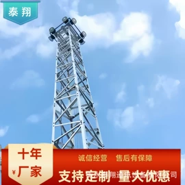 其他防雷设备;钢结构;监控器支架