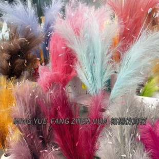 �S��ֱ�N�L֦�����JȔ��������˹�ݻ�c�̈�����������������b