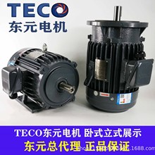 TECO台湾电动机东元电机2.2 3.7KW 5.5 18KW立式AEVF TVGH刹车