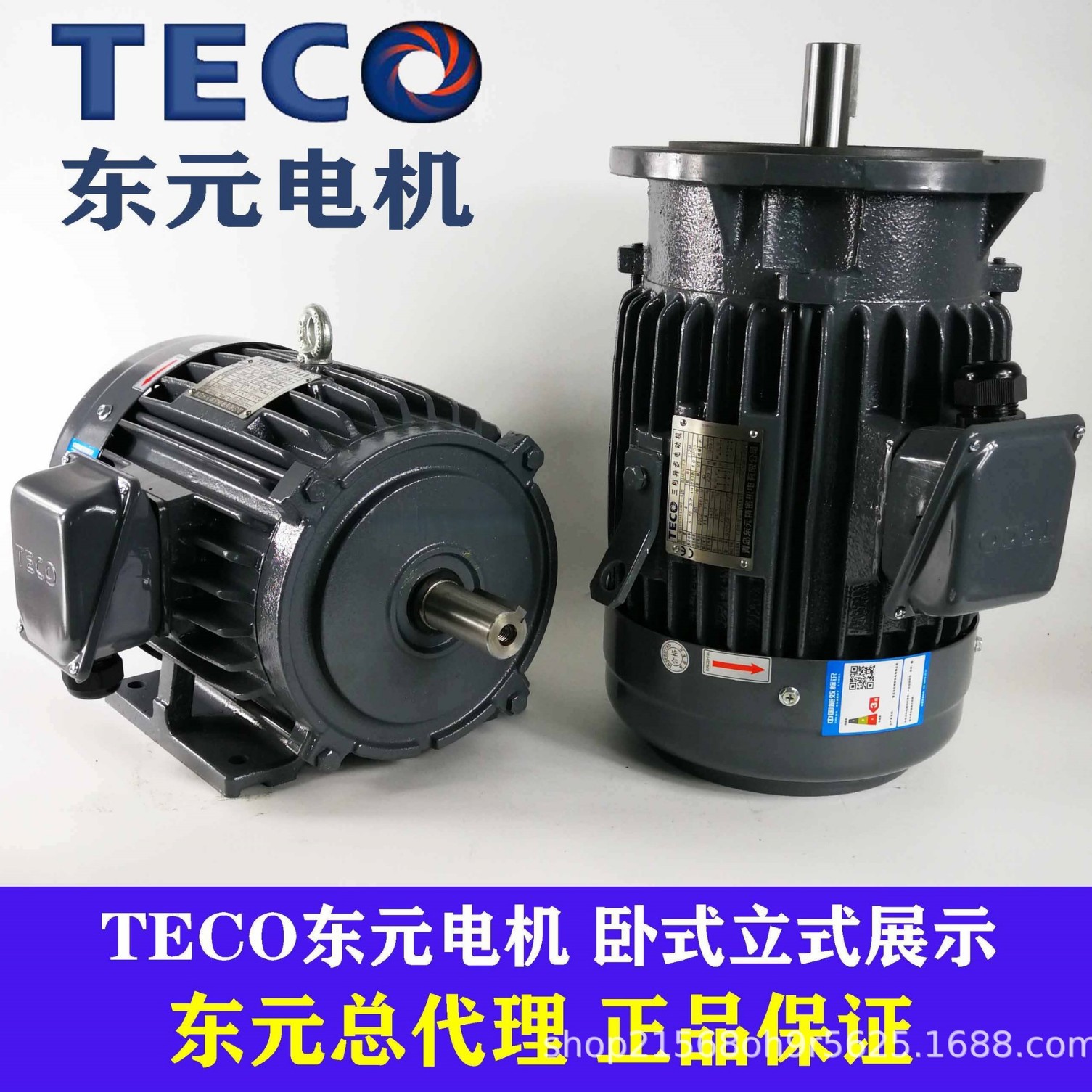 TECO台湾电动机东元电机2.2 3.7KW 5.5 18KW立式AEVF TVGH刹车