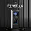 wholesale Color Check on work attendance fingerprint Access control modern Simplicity Office Smart Lock Glass door Fingerprint lock goods in stock