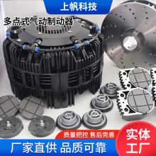 多点式气动制动器厂家供应空压碟式制动器气动刹车器生产定 制