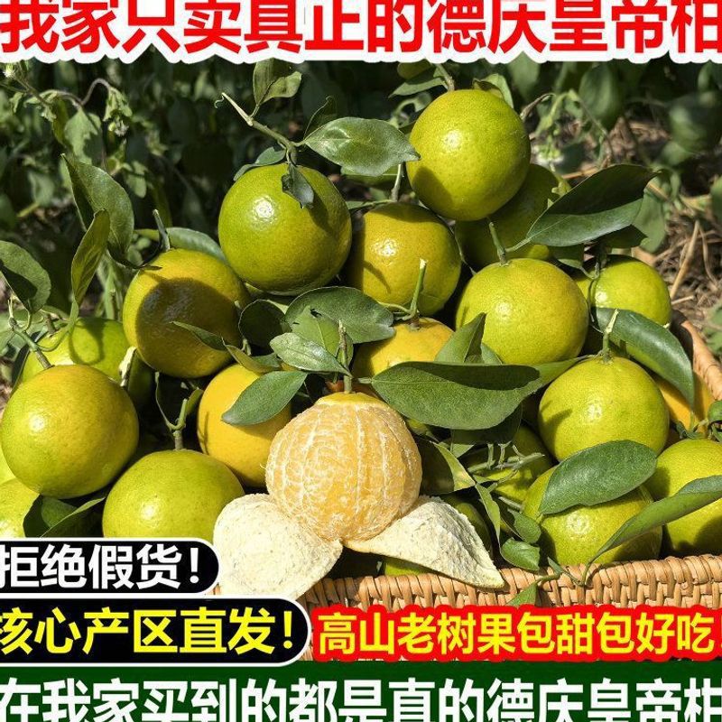 广东德庆皇帝柑新鲜贡柑水果包邮柑橘应季砂糖蜜桔橘子批发亚马逊