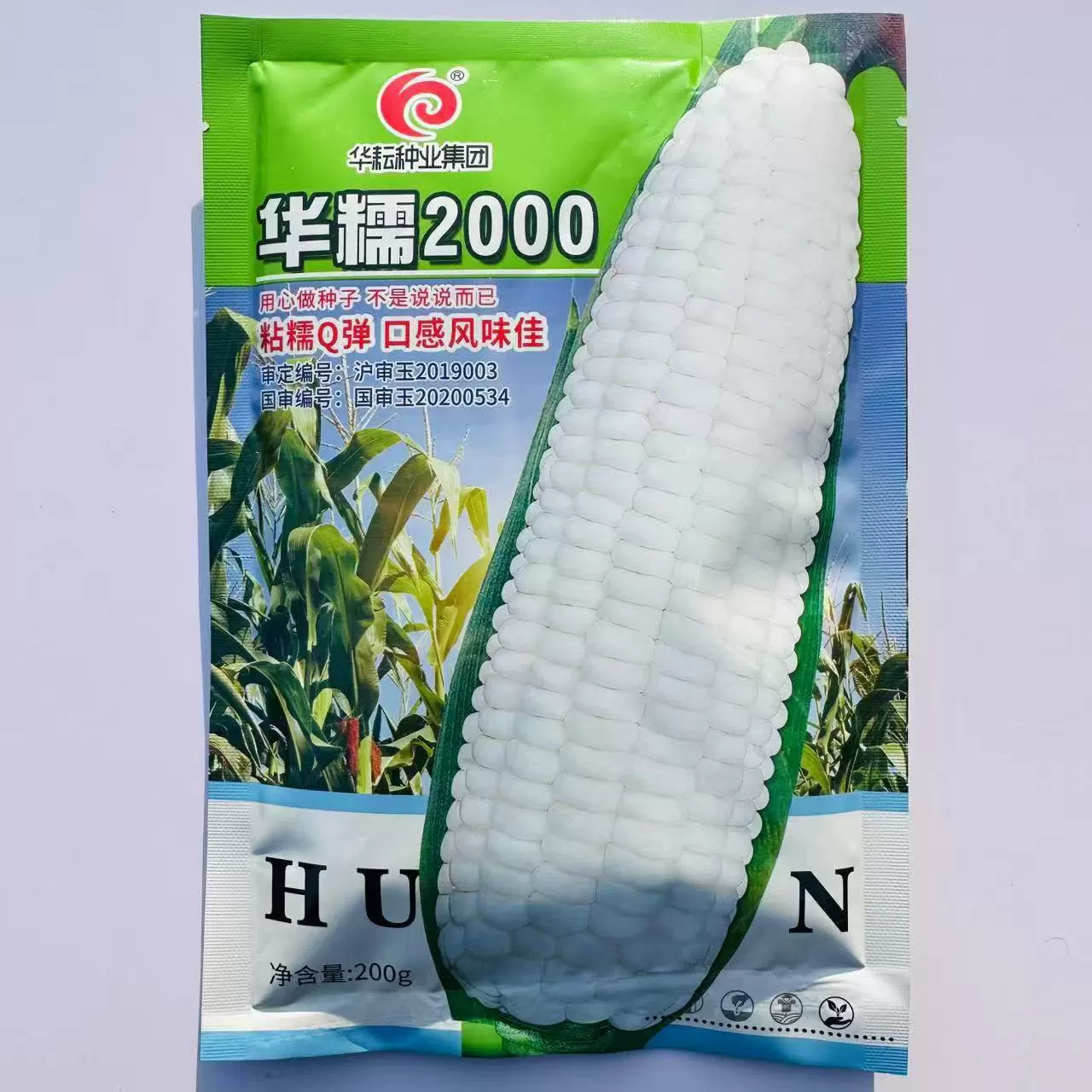 Семена кукурузы Huano 2000 — высоковысокопродуктивные, без ГМО, белые, сладкие, клейкие и суперсладкие гибридные полевые семена для всех сезонов.