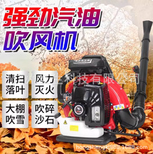 �J����ؓʽ���L�CEB900/EB750/EB975/BBX876���ﴵѩ�C��������