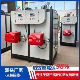 燃气蒸汽炉 水洗厂印染布料烘干低耗全自动恒温蒸汽发生设备