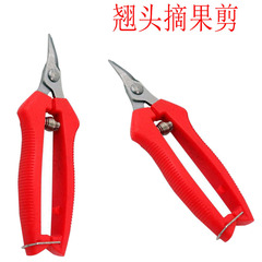 メーカーの現物は首を長くして果物を摘み取って、枝を切って刀を切って、果物を摘んで、果物を摘んで、果物を切って、果物を切って切ります。