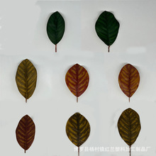 Rdm~廨滨bG~ƬSl^z̖z