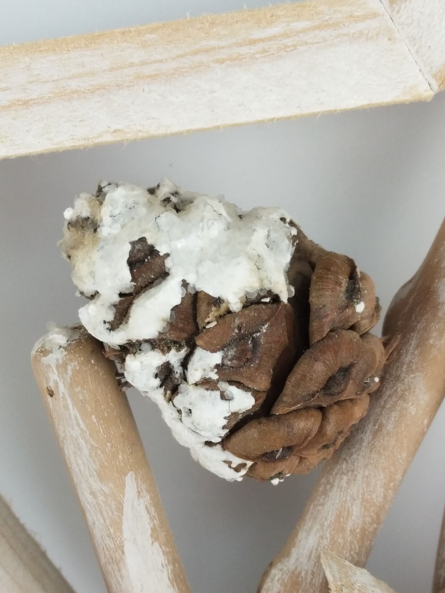 2E4E5D9D202822F3CB0562B1674A72