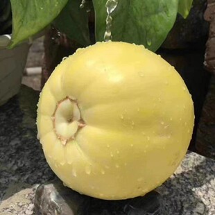 ɽ�|С�۷�����۹��������20���ǹ޴�����������^��Fժ5��