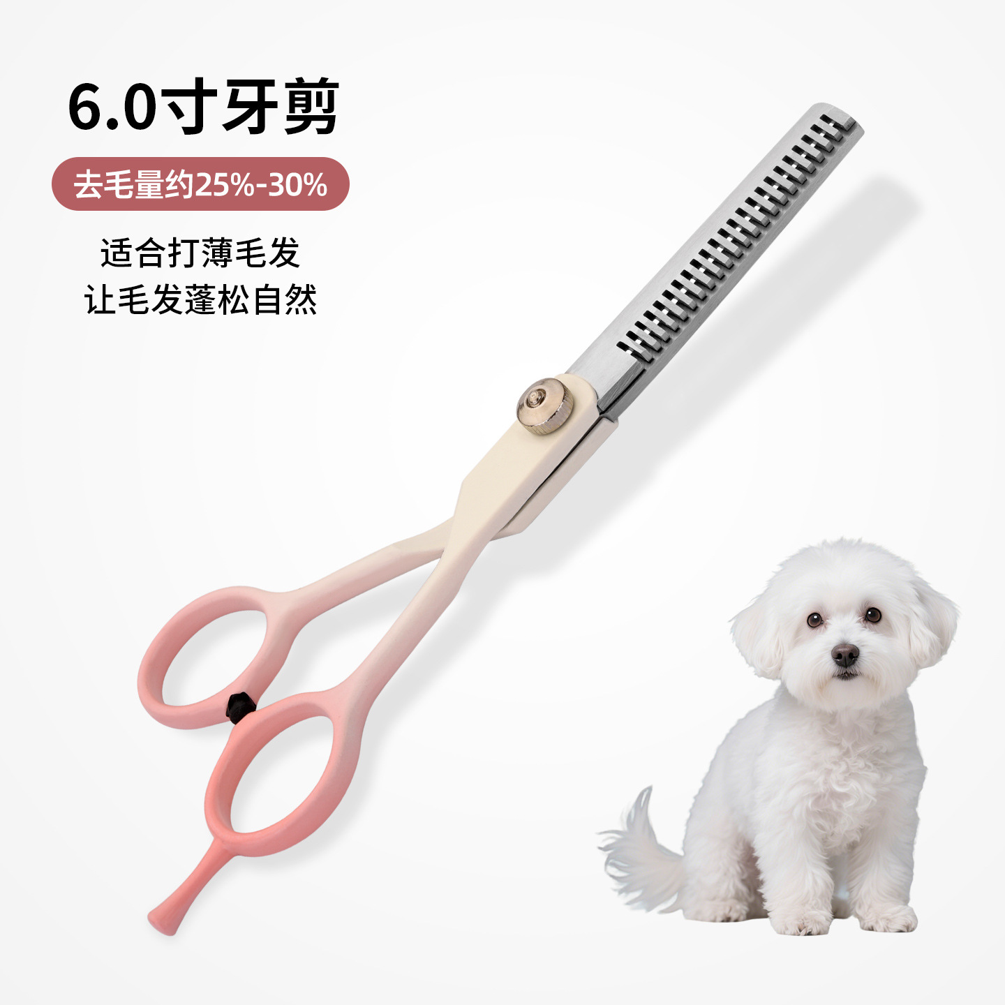 Kit de tijeras profesionales para peluquería canina, incluye tijeras curvas