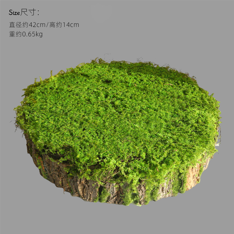 둥근 나무껍질 화분 - 직경 42cm