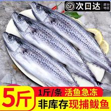 �r���E�~���r�R�o�~���l������r�����E�~���R�o�~���~�������l