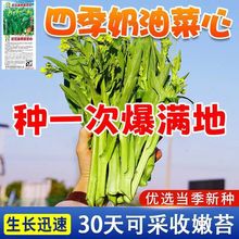 V|ľŲķNĲ̦ļN͟͸ߜ߲˷N