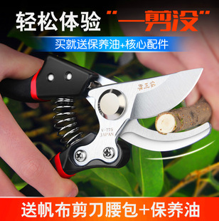 �@ˇ����������֦����֦��֧���ü�֦�������޻�ֲ���޼�������ɣ
