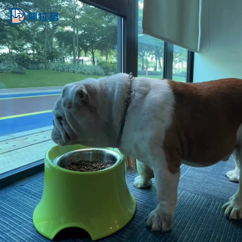 Новая усиленная миска для защиты шеи, миска из нержавеющей стали, противоударная миска для собак, наклонный рот, высокая миска для собак малых и средних размеров, миска для кормления собак