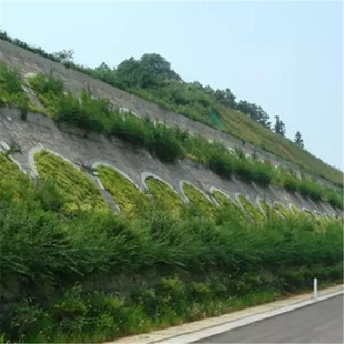 �o�¾G�����뻱�Ѷ������Ͱ���ľ�F·��·�o����