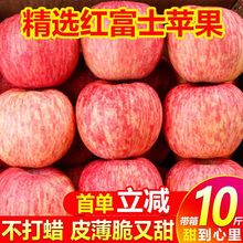 脆甜山东烟台红富士苹果10斤装当季水果新鲜3斤/5斤整箱批发包邮