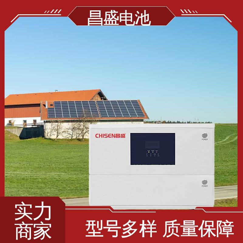 昌盛 10.24kWh 磷酸铁锂 户用光伏储能电池 规格齐全 材质精选