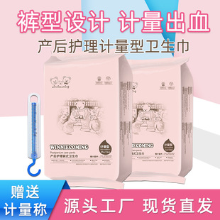 Metering Type Maternal Sanitary Napkins 2 Pieces Postpartum Lochia Pants Adult Diapers Women's in stock Free Underwear