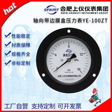 合肥上仪轴向带边膜盒压力表YE100ZT微压表背接式法兰安装边kpa表