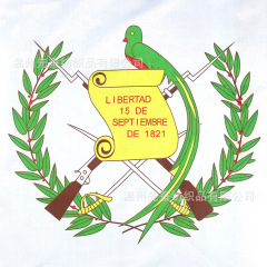 90*150cm Guatemalan Flag Manufacturer 3*5ft Polyester Banner Guatemala Banner Wholesale