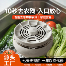 果蔬清洗机水果蔬菜清洗机果蔬食材净化洗菜器消毒去除农残留家园
