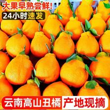 ��ɽ���ٳ�˹�10�ﮔ�����rˮ�����ӱ�Ƥ�Ұ����γ�����������