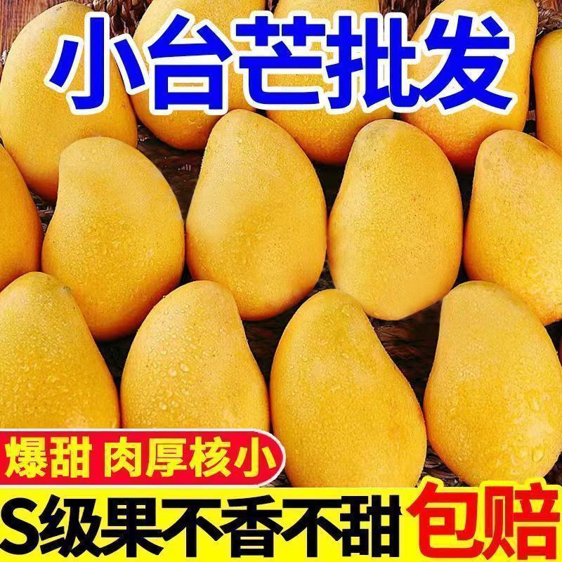 Authentic Xiaotainong Mango Fresh Fruit Wholesale Price Whole Box Small Mango Large Fruit Not Hainan Golden Huang Mango or Imperial Mango Authentic Xiaotainong Mango Fresh Fruit Wholesale Price Whole Box Small Mango Large Fruit Not Hainan Golden Huang Mango or Imperial Mango