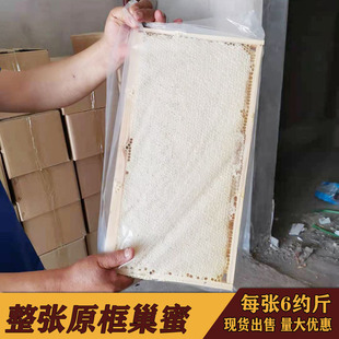 �������� ԭ���³������ؔ��и���B���厧������������