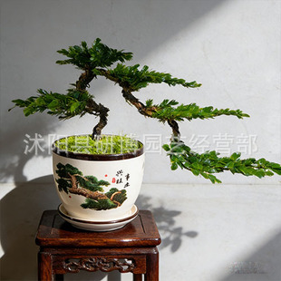 �����辰���ɘ��辰 �����ɘ����ӭ�����辰��� ���ɘ����_�h��