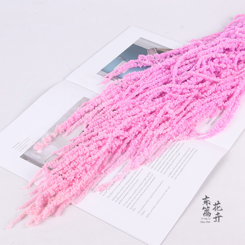 Arroz colgante de vida eterna, flores colgantes de Roulisi, flores reales, flores perpetuas, arreglos florales de boda, decoración de paredes, flores secas tridimensionales al por mayor