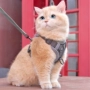伸缩牵引绳宠物猫绳
