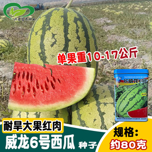 ����6̖���ϷN�� ����ִ����r������ɰ��ϷN�� ����߿���ˮ��