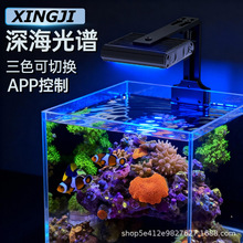 海缸珊瑚灯全光谱含UV海水小缸海水鱼软体珊瑚专用造景爆藻小丑鱼