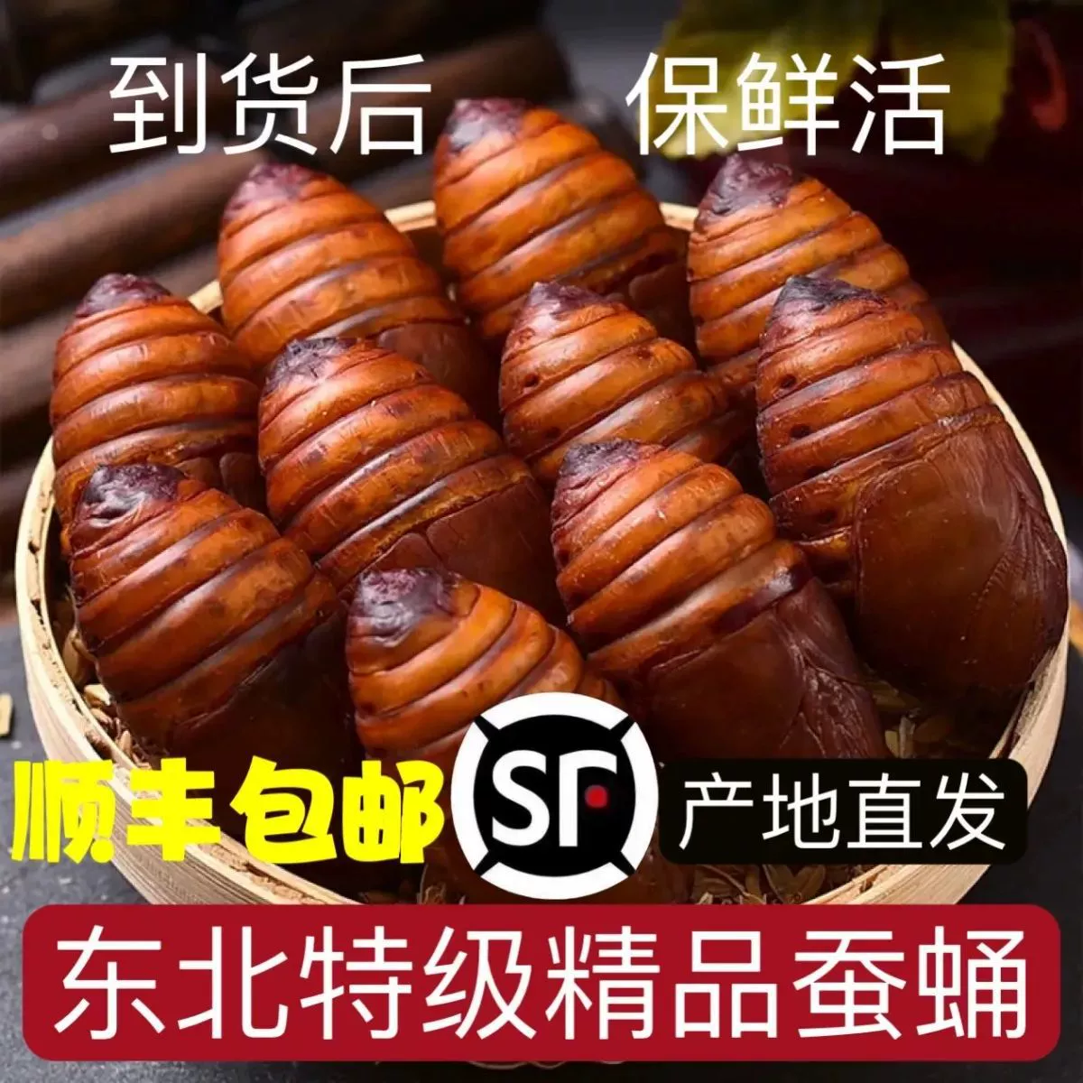 Свежие пупки шелкопряда специального сорта северо-восточного трамора, пупки дикого желтого крупного шелкопряда, живые пупки цикад, дикий черный, целая коробка