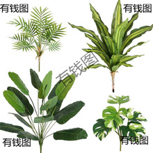 �Gֲާ�ֲ������쾰�ٻ��廨�b��G��֦���ϻ�