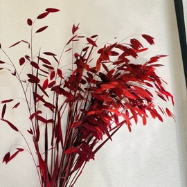 鲜花花艺制品;永生花;干花