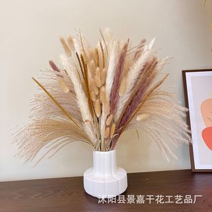 �JȔ����˹�����b�ɻ��������W�L�b[���͏d�b��R�d�羳��؛