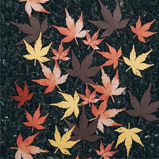 İī�~��ʰ�Ｏϵ�в��ϰ��U���~�����~DIY�ز��b��30��8��