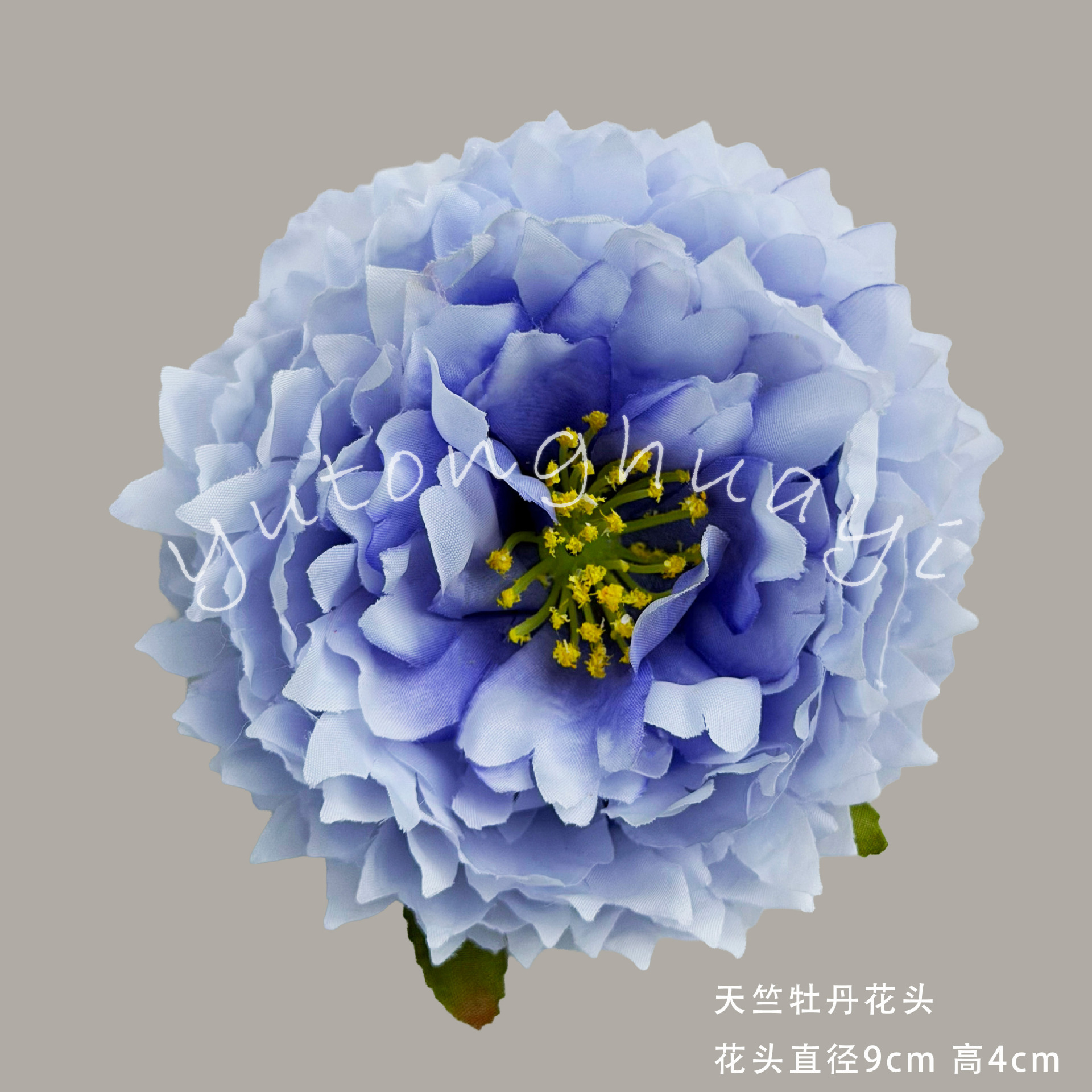 Tianzhu peony flowers-light purple